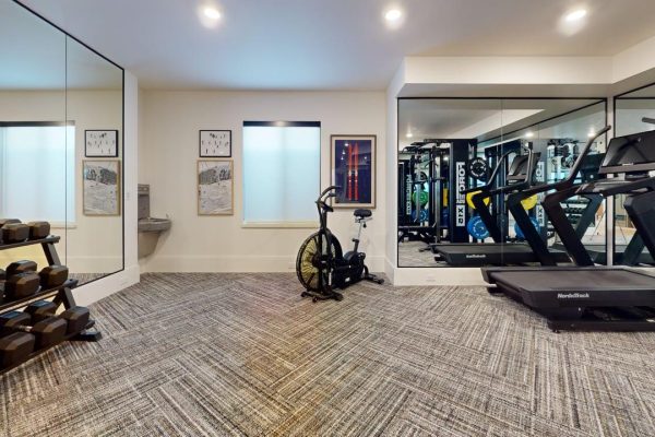 The-Christine-Mountain-Contemporary-Exercise